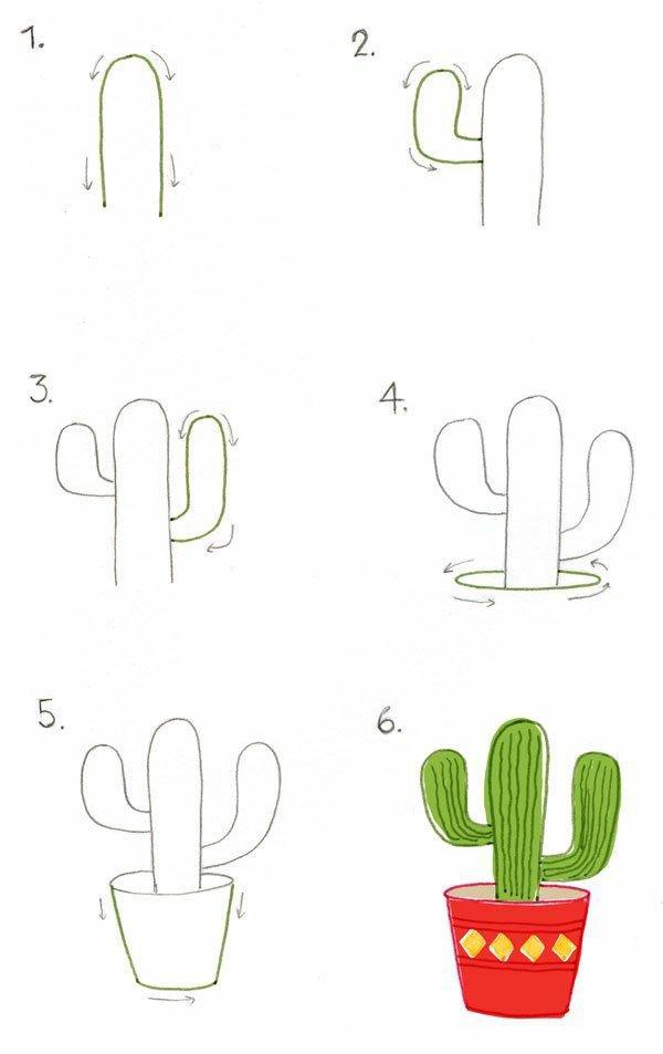 Dibujos de cactus y suculentas paso a paso | Six Art