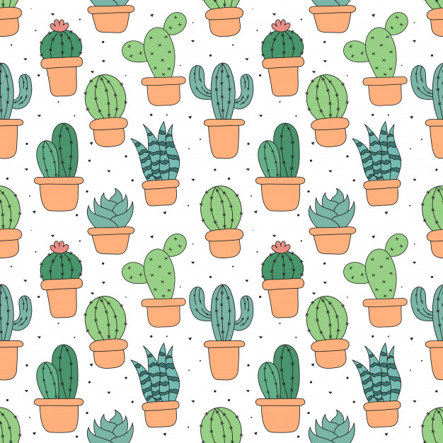 Dibujos de cactus y suculentas paso a paso | Six Art